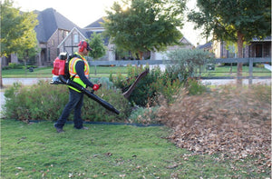 Maruyama BL900-GT Backpack Blower